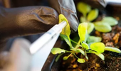 ‘나노농약’으로 지속가능한 농업 실현 꾀하다