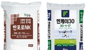 이삭 패기 전 ‘엔케이(NK)’ 비료…고품질 쌀 생산 ‘꿀팁’